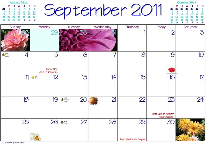 Tim's 2011 Dahlia Calendar/19 Sep Dates