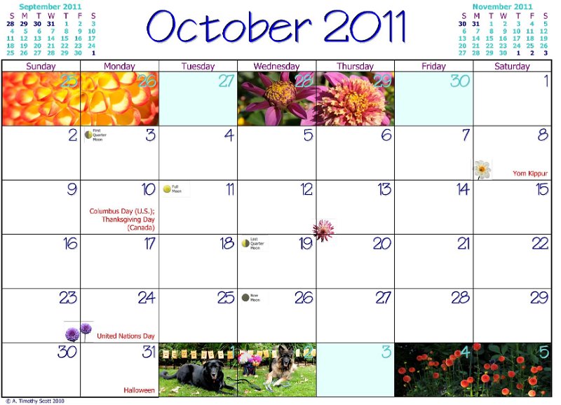 Tim's 2011 Dahlia Calendar/21 Oct Dates